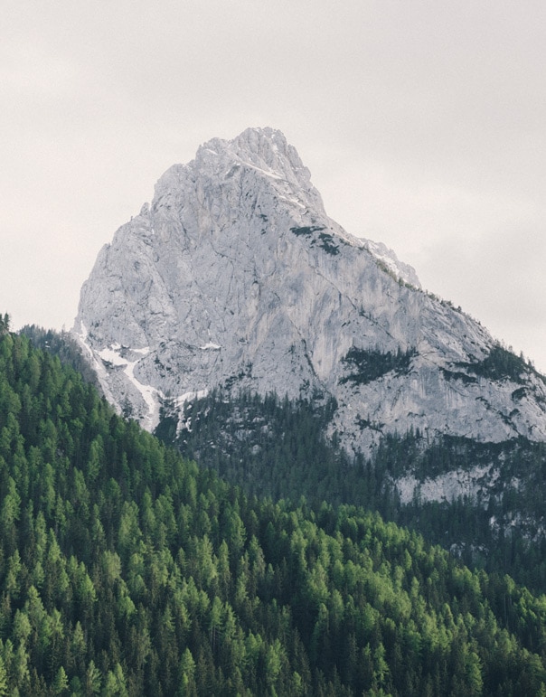 Ladinarredi-il_ns_lavoro03